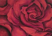 Rosa color rosso dipinta olio su tela